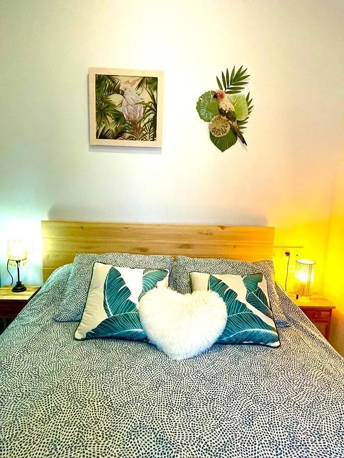 Apartamento En Casco Historico De Cordoba/Piscina 0*, Cordoba Spain
