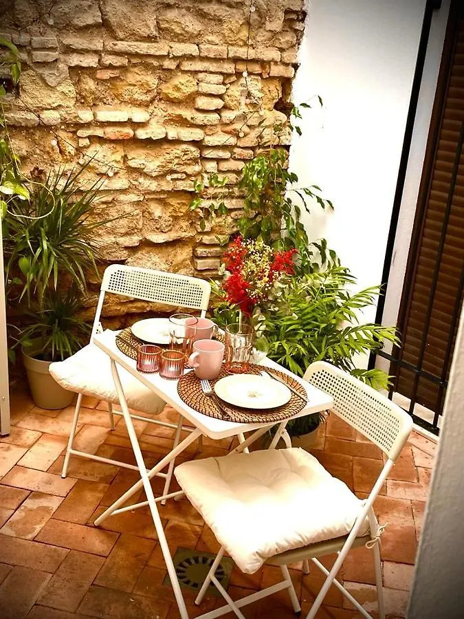 Apartamento En Casco Historico De Cordoba/Piscina Apartment Cordoba